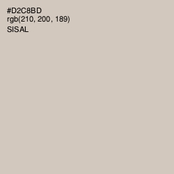 #D2C8BD - Sisal Color Image