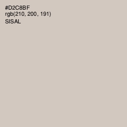 #D2C8BF - Sisal Color Image