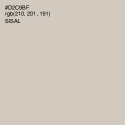 #D2C9BF - Sisal Color Image