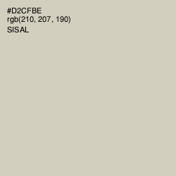 #D2CFBE - Sisal Color Image