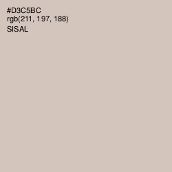 #D3C5BC - Sisal Color Image
