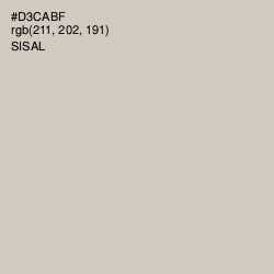 #D3CABF - Sisal Color Image