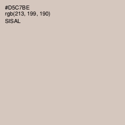 #D5C7BE - Sisal Color Image