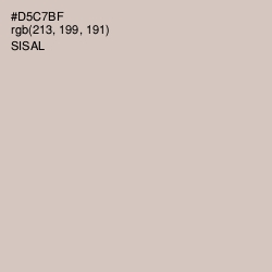 #D5C7BF - Sisal Color Image