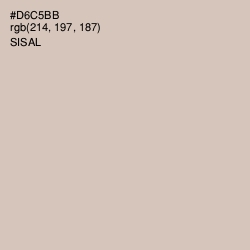 #D6C5BB - Sisal Color Image