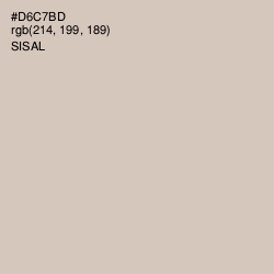 #D6C7BD - Sisal Color Image