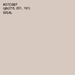 #D7C9BF - Sisal Color Image