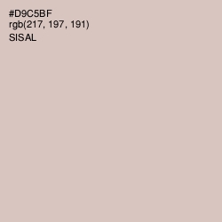 #D9C5BF - Sisal Color Image