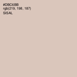 #DBC6BB - Sisal Color Image