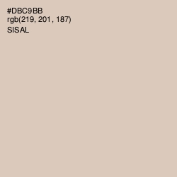 #DBC9BB - Sisal Color Image