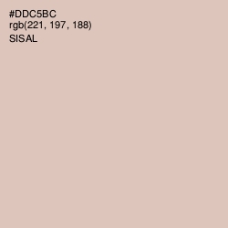 #DDC5BC - Sisal Color Image