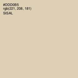 #DDD0B5 - Sisal Color Image