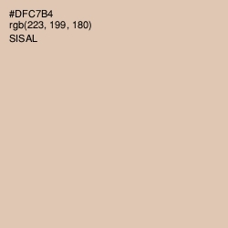 #DFC7B4 - Sisal Color Image