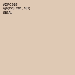 #DFC9B5 - Sisal Color Image
