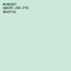 #C9E8D7 - Skeptic Color Image
