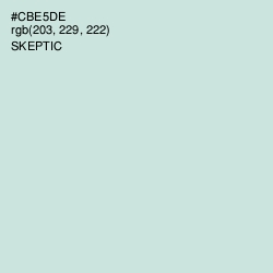 #CBE5DE - Skeptic Color Image
