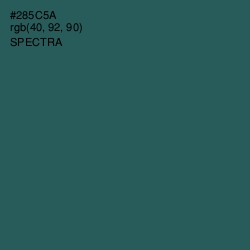 #285C5A - Spectra Color Image