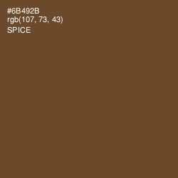 #6B492B - Spice Color Image