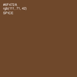 #6F472A - Spice Color Image