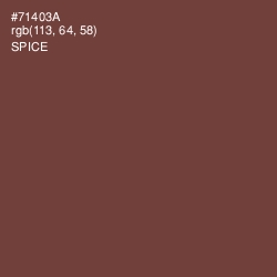 #71403A - Spice Color Image