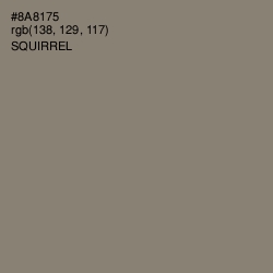 #8A8175 - Squirrel Color Image