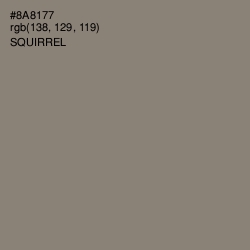 #8A8177 - Squirrel Color Image