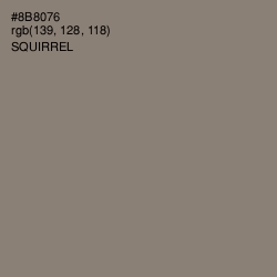 #8B8076 - Squirrel Color Image