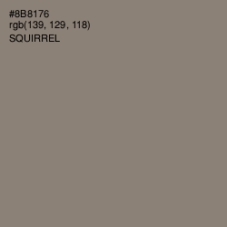 #8B8176 - Squirrel Color Image