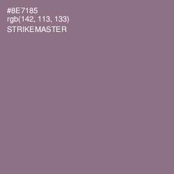 #8E7185 - Strikemaster Color Image