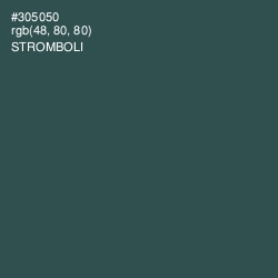 #305050 - Stromboli Color Image