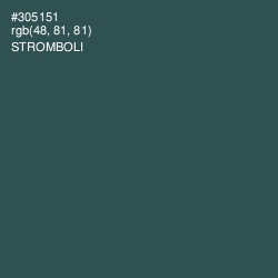 #305151 - Stromboli Color Image