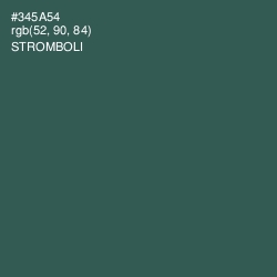 #345A54 - Stromboli Color Image