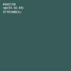 #365C58 - Stromboli Color Image