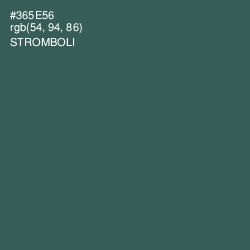 #365E56 - Stromboli Color Image