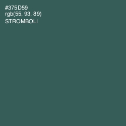 #375D59 - Stromboli Color Image