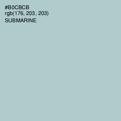 #B0CBCB - Submarine Color Image