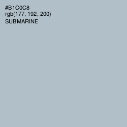 #B1C0C8 - Submarine Color Image
