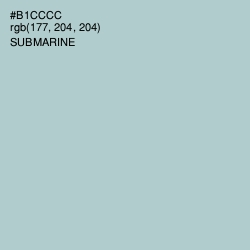 #B1CCCC - Submarine Color Image