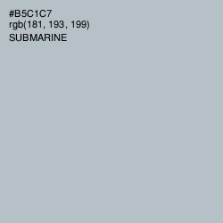 #B5C1C7 - Submarine Color Image