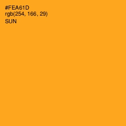 #FEA61D - Sun Color Image