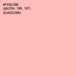 #FEBCBB - Sundown Color Image