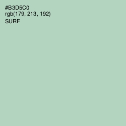 #B3D5C0 - Surf Color Image