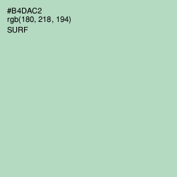 #B4DAC2 - Surf Color Image