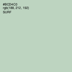 #BCD4C0 - Surf Color Image