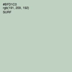 #BFD1C0 - Surf Color Image