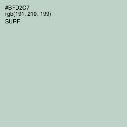 #BFD2C7 - Surf Color Image