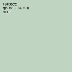 #BFD5C2 - Surf Color Image