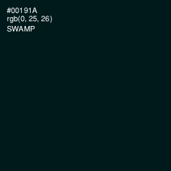 #00191A - Swamp Color Image
