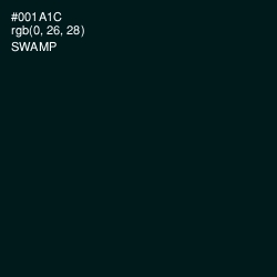 #001A1C - Swamp Color Image