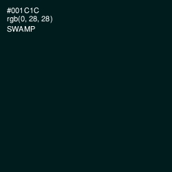 #001C1C - Swamp Color Image